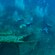 A small group of scuba divers explores a shipwreck on the ocean floor